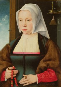 Retrato de uma senhora desconhecida, 1527